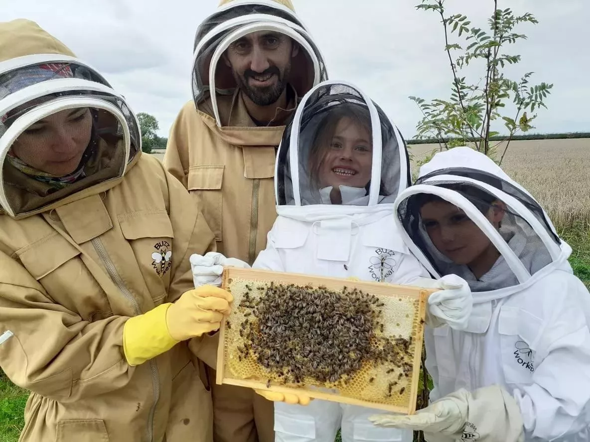 The Bee Farmer | National Forest